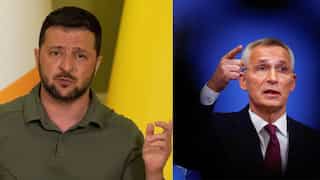 Ukrainian President Volodymyr Zelensky discusses 'unblocking' grain corridor with NATO chief Jens Stoltenberg