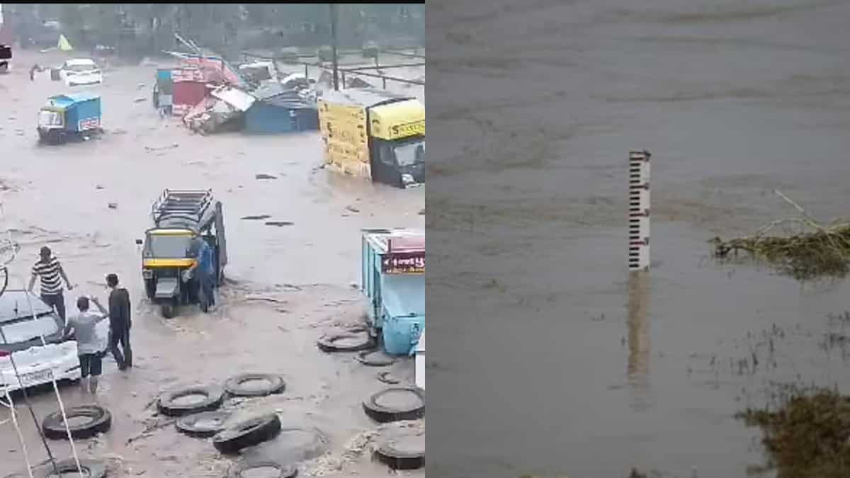 WATCH | Flood-like situation in parts of Gujarat, Yamuna above danger level again WATCH | Flood-like situation in parts of Gujarat, Yamuna above danger level again