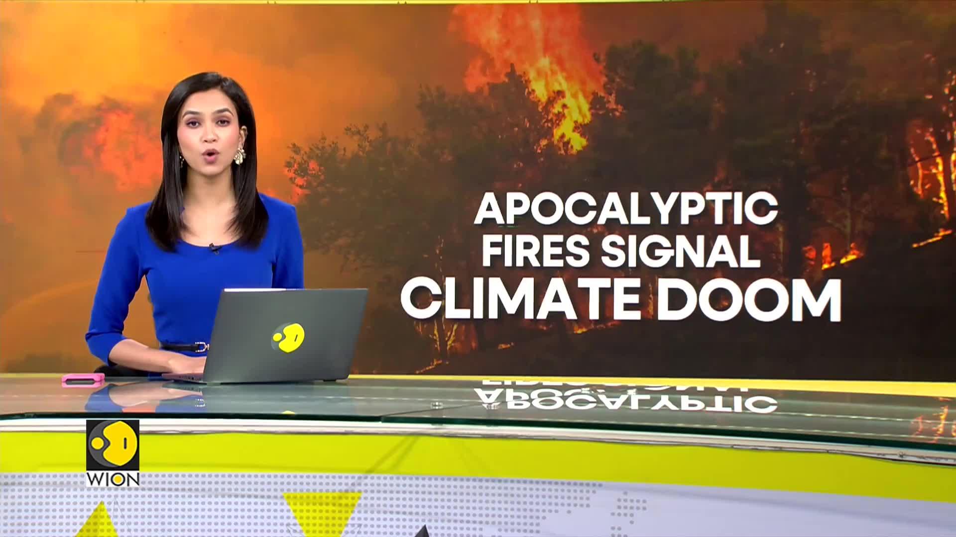 WionNews Video