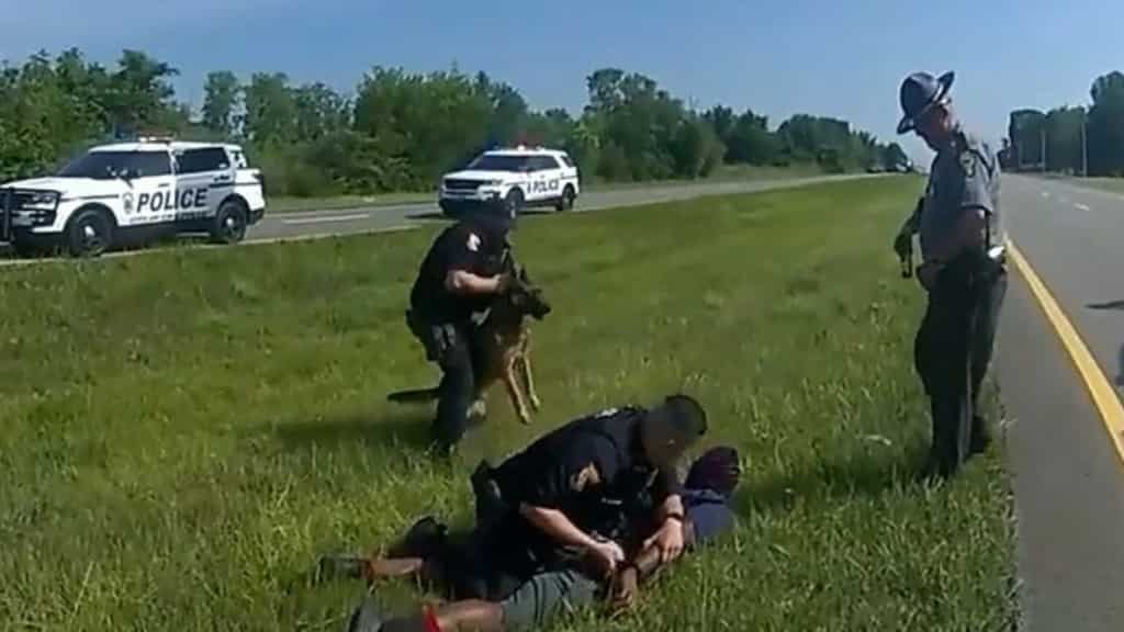 US: Police official fired for releasing K-9 dog on unarmed Black man, informs department