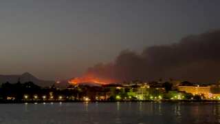 'Not an excuse': As wildfires rage, Greek PM says must tackle climate change