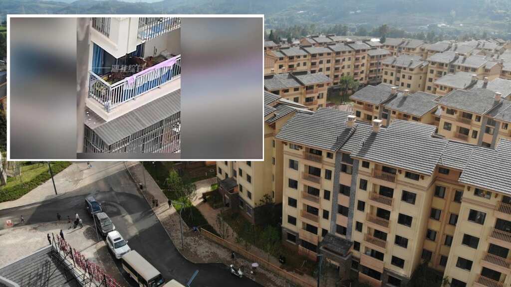 Authorities take away resettled Chinese villager's cattle kept on fifth floor balcony
