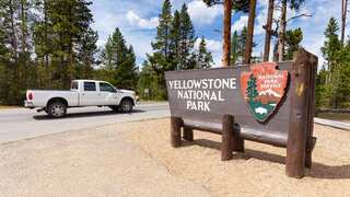US: Woman found dead on trail near Yellowstone National Park in suspected grizzly bear encounter