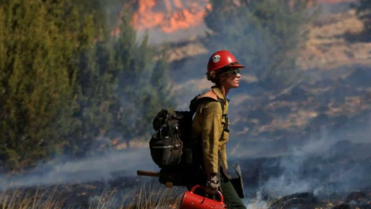 US Forest Service burn started wildfire that nearly reached Los Alamos, New Mexico World News