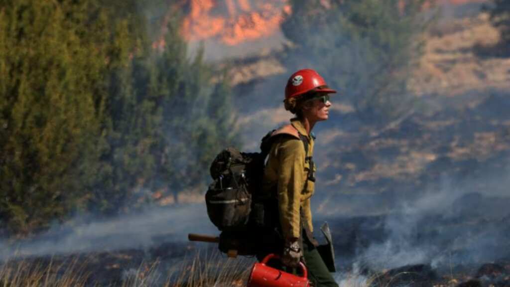 US Forest Service burn started wildfire that nearly reached Los Alamos, New Mexico