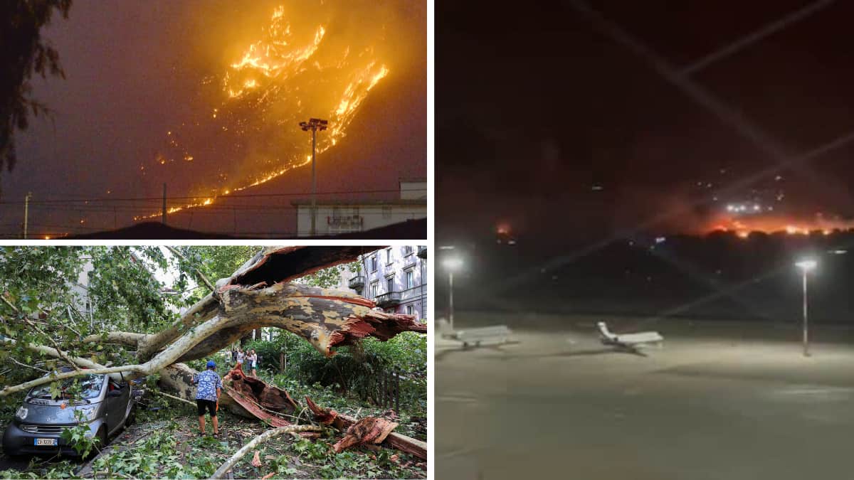 VIDEO | Italy: Palermo airport partially reopens after closure due to wildfires