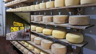 New York: US FDA recalls 1,400 pounds of cheese over listeria contamination fears