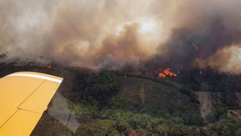 Video | Two dead after plane fighting wildfires in Greece crashes, bursts into flames