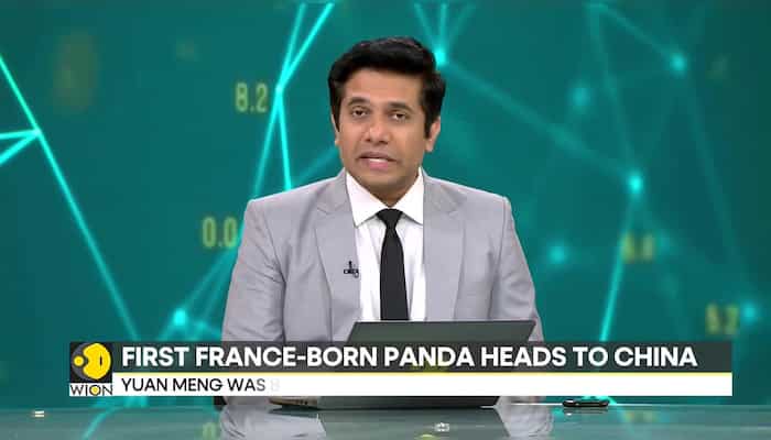 WionNews Video