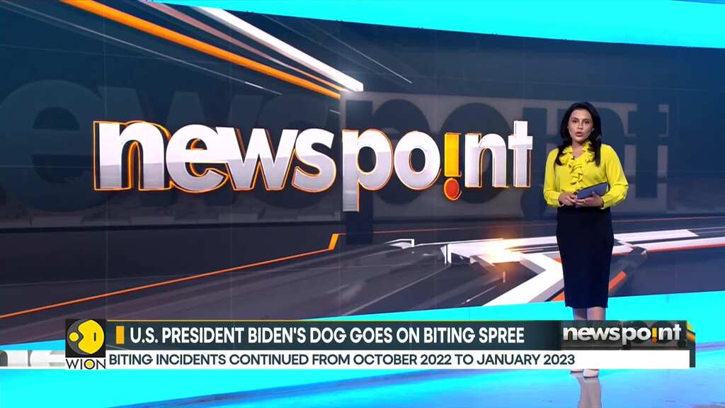 US President Joe Biden's German Shepherd 'Commander' bites 10 times in 4 months | World News | WION