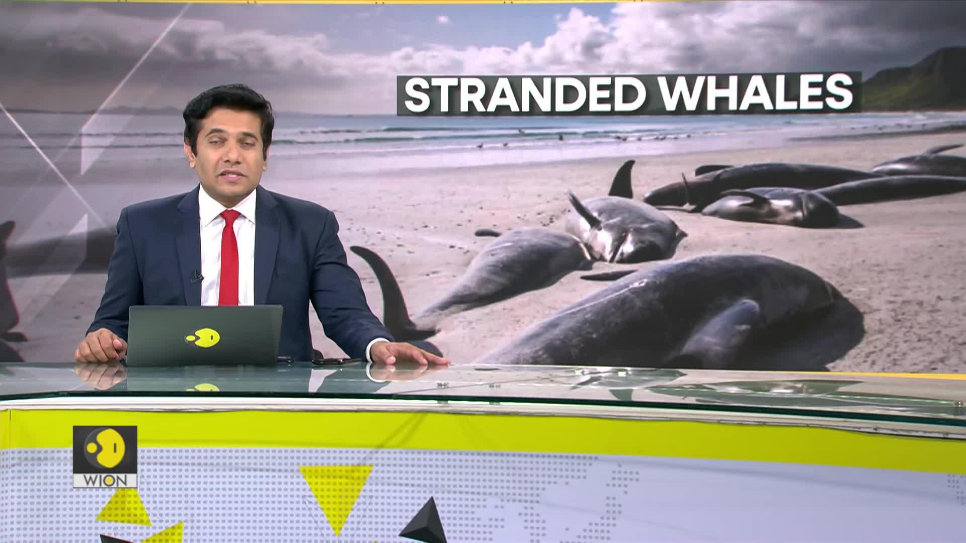 WionNews Video