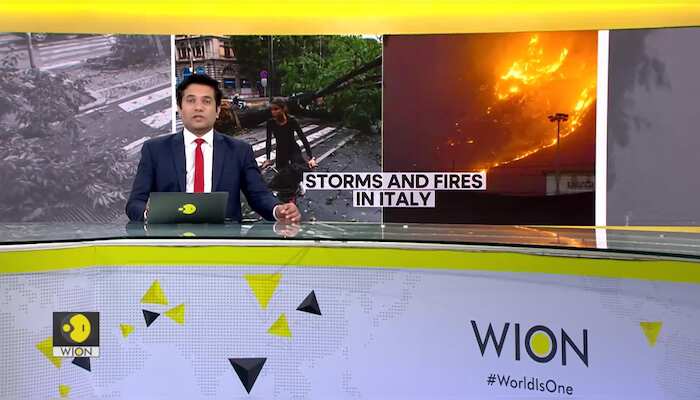 WionNews Video