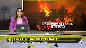 Gravitas: Record ocean temperatures observed in Florida | Mediterranean burns like blowtorch