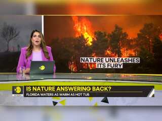 Gravitas: Record ocean temperatures observed in Florida | Mediterranean burns like blowtorch
