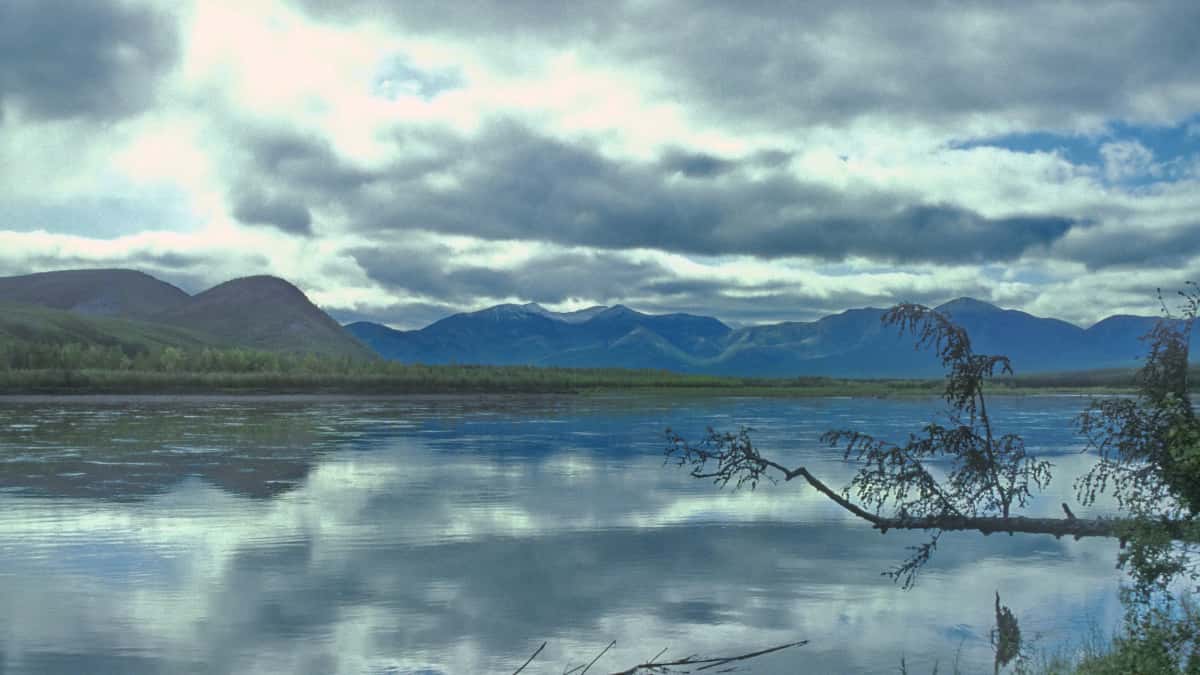 Nematode found in Siberia is 46,000 years old, says new study Nematode found in Siberia is 46,000 years old, says new study