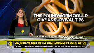 Gravitas: Scientists awaken 46,000-year-old roundworm from permafrost