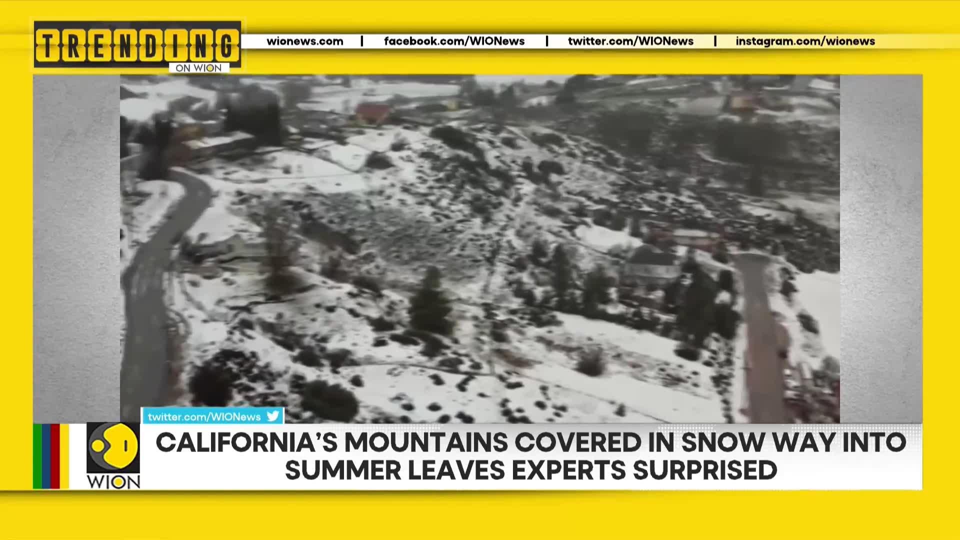 WionNews Video