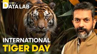 Data Lab | India houses 75% of the world’s tigers, but let's not get fixated on numbers