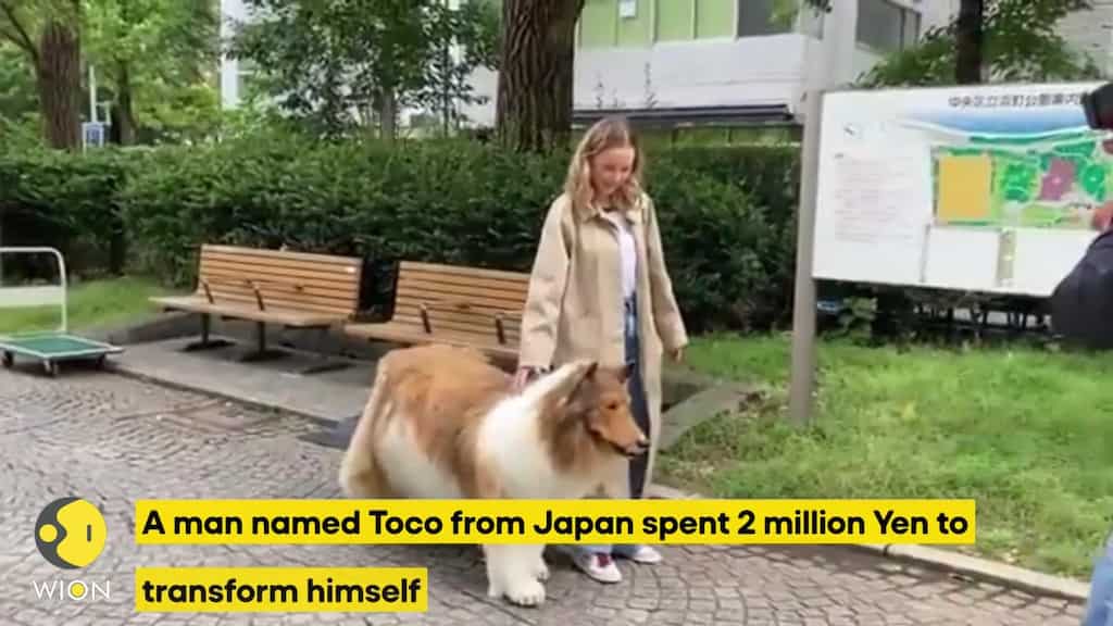 A Japanese man spends 2 Million Yen to become a dog