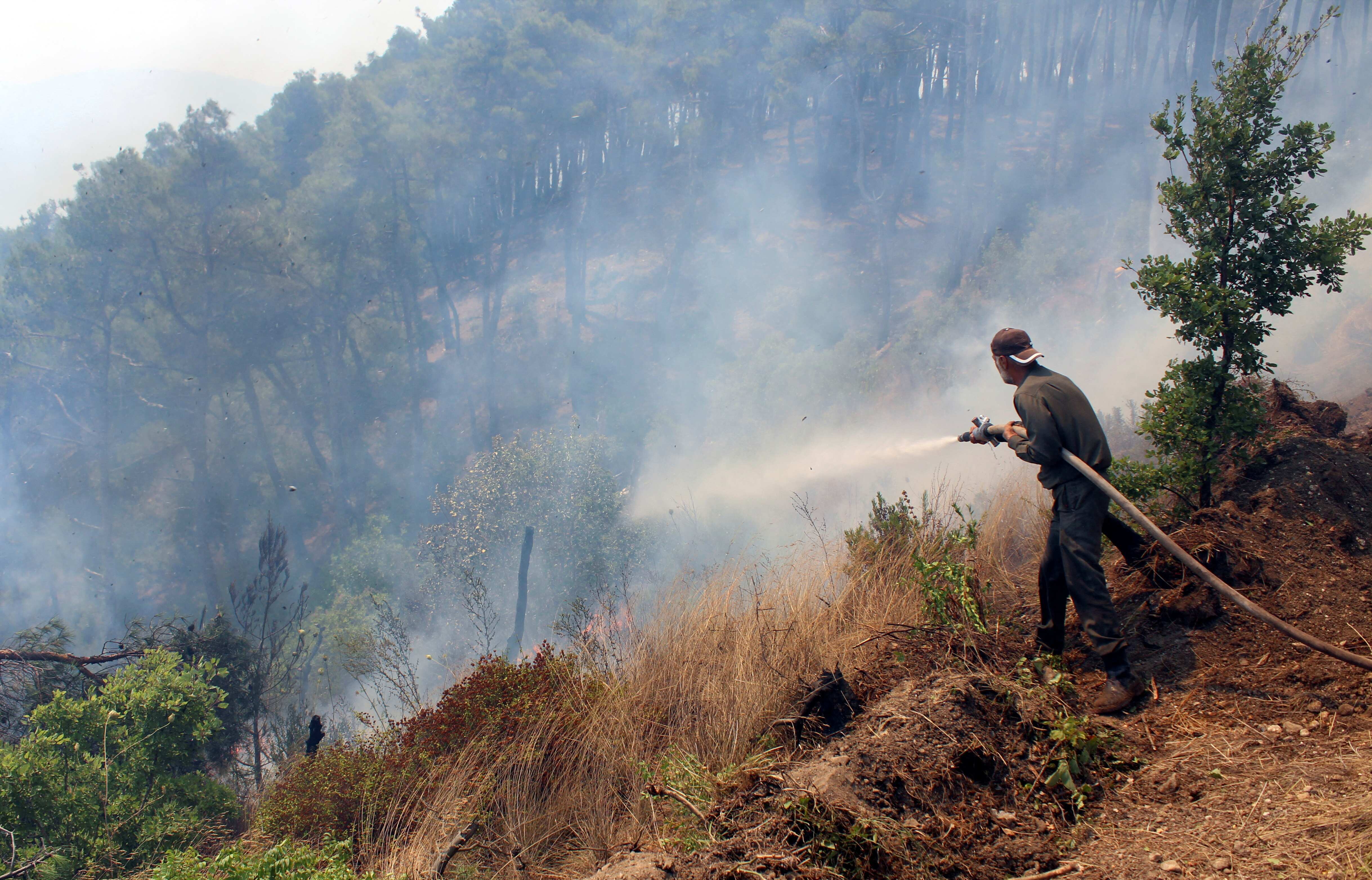 Syria's northern coast ravaged by wildfires; govt says pine forests badly hit
