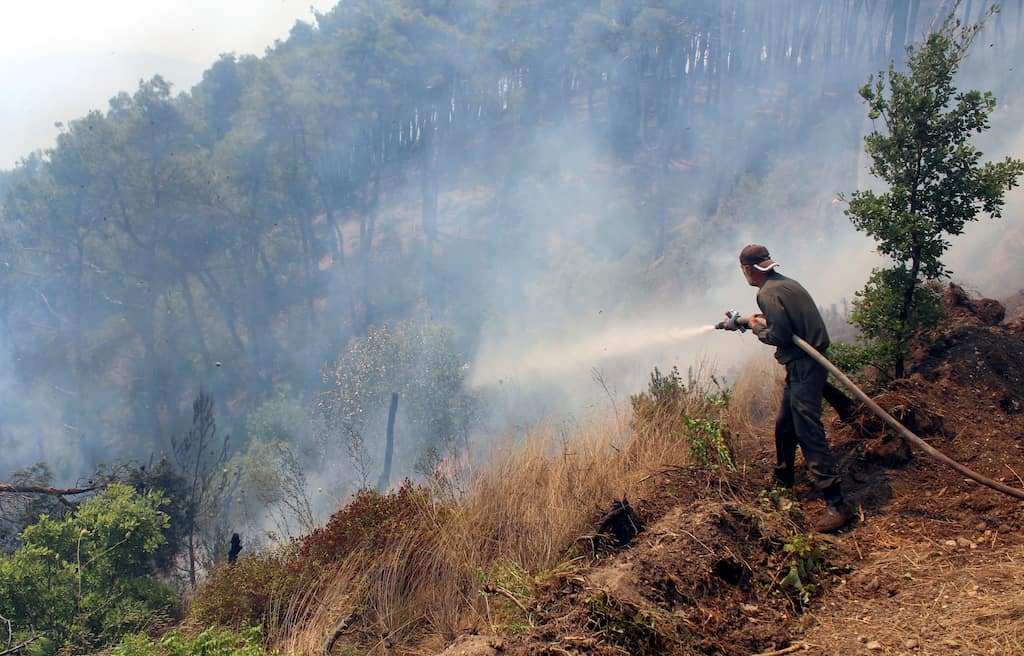 Syria's northern coast ravaged by wildfires; govt says pine forests badly hit