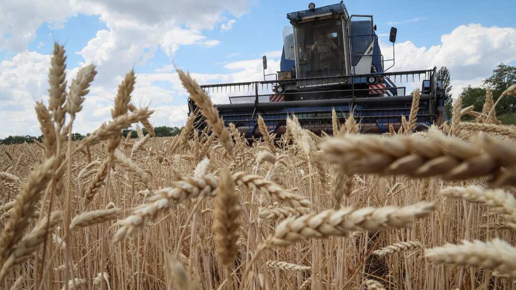 Ukraine and Croatia agree on use of Croatian ports for grain exports