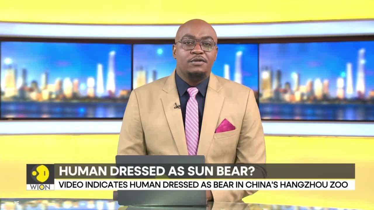 China Hangzhou zoo video divides internet: Human dressed as sun bear