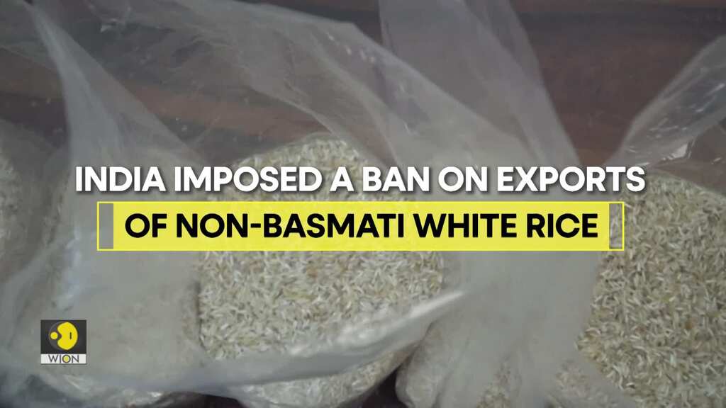 Should India exclude premium rice variety from the export ban?