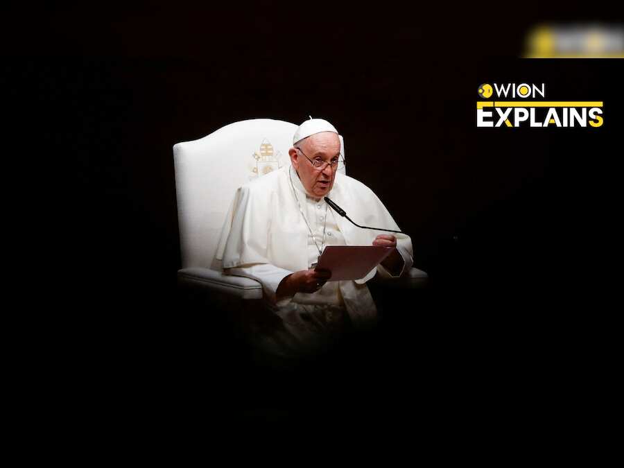 Explained: Catholic church sex scandal: Pope is in Portugal, and so are the controversies