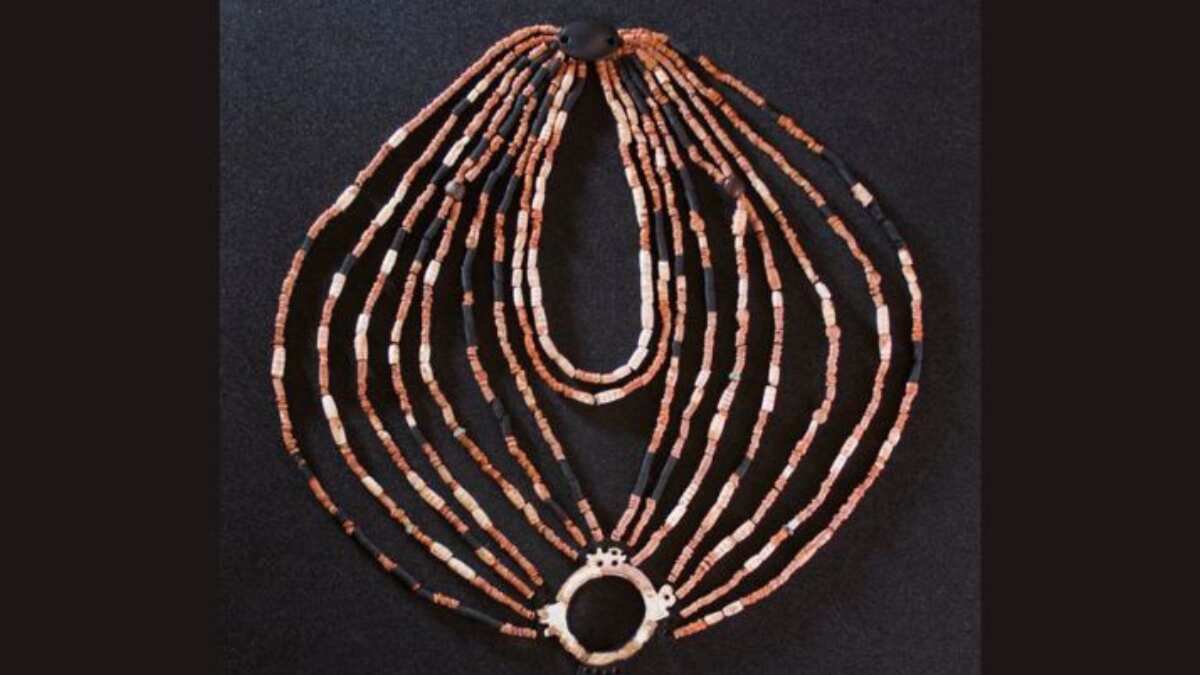 'Ornament of dead child': Reconstruction of 9,000-year-old necklace reveals details 'Ornament of dead child': Reconstruction of 9,000-year-old necklace reveals details