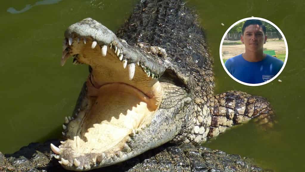 Crocodile fatally attacks soccer player in Costa Rican river, swims away with body