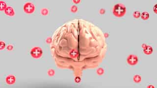 Boost your brain power! Here's what you should and shouldn't do to increase neurogenesis