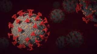 Covid variant 'Eris' on rise in UK, as experts say country ‘flying blind’ on infection