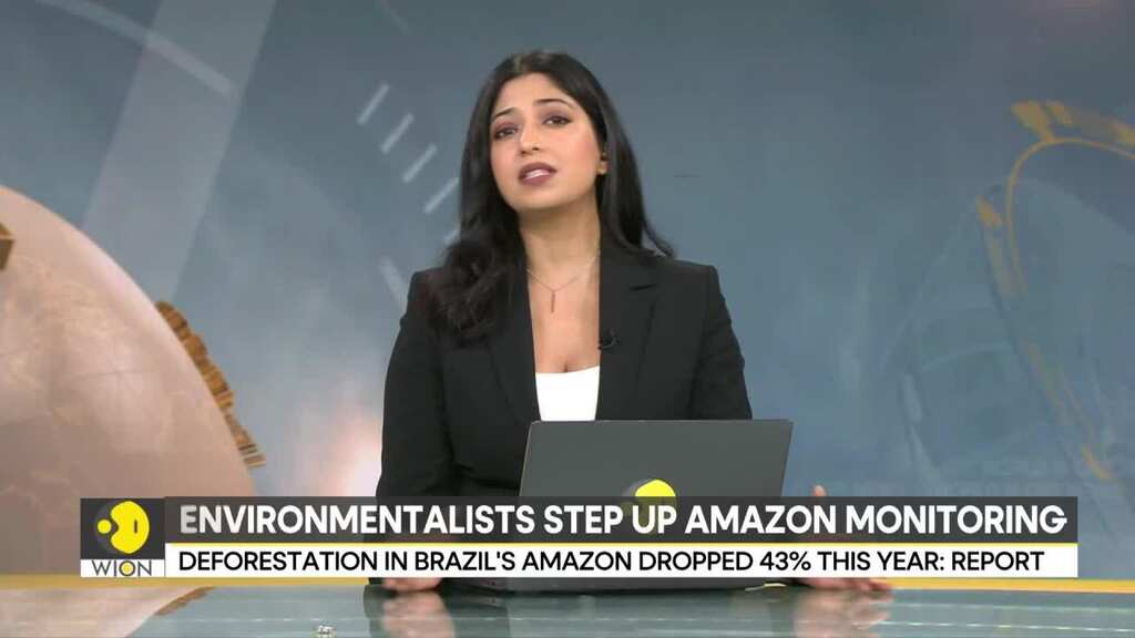 El-Nino: Indigenous chief warns of disaster if deforestation continues