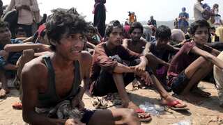 India: Several Rohingyas arrested by Haryana police, High Court steps in to halt demolition drive