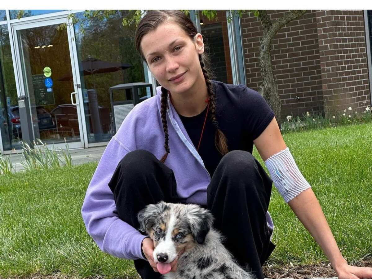 What is Lyme disease that Bella Hadid is struggling with? Know its symptoms, treatment and prevention