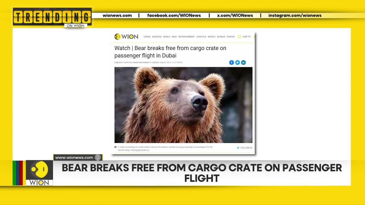 WionNews Video