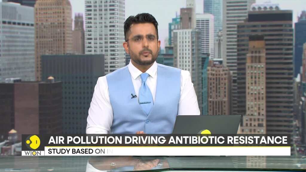 Air pollution linked to rise in antibiotic resistance that imperils human health