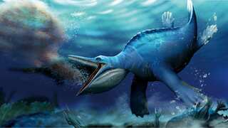 Scientists unearth 248 million-years-old marine reptile that shared this curious similarity to whales
