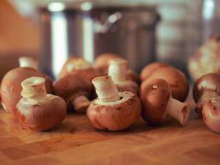 Mushroom poisoning in Australia: What is the mysterious case that turned family lunch into tragedy?