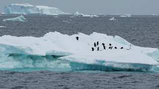 As ice in Antarctica melts to new lows, scientists warn 'no quick fix'