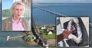 US: Tampa mayor bags big on a fishing trip: A package of cocaine worth $1.1mn