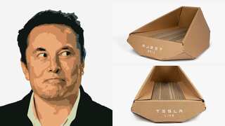 Tesla's 'purr'fect twist: Musk's company rolls out cardboard 'cybertruck' cat beds in China