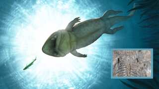 Scientists identify 248 million-year-old lizard-like creature that survived what dinosaurs couldn't