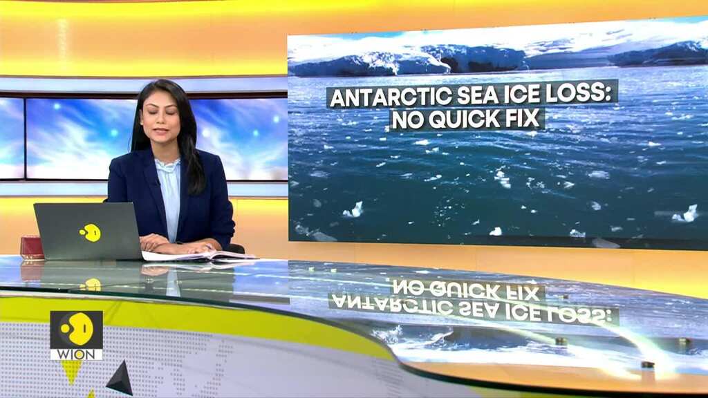 Scientists: no quick fix for Antarctic Sea ice loss