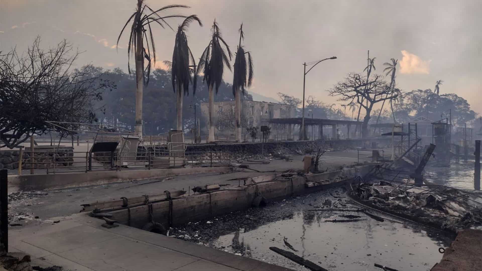 Wildfires on Hawaii's Maui island