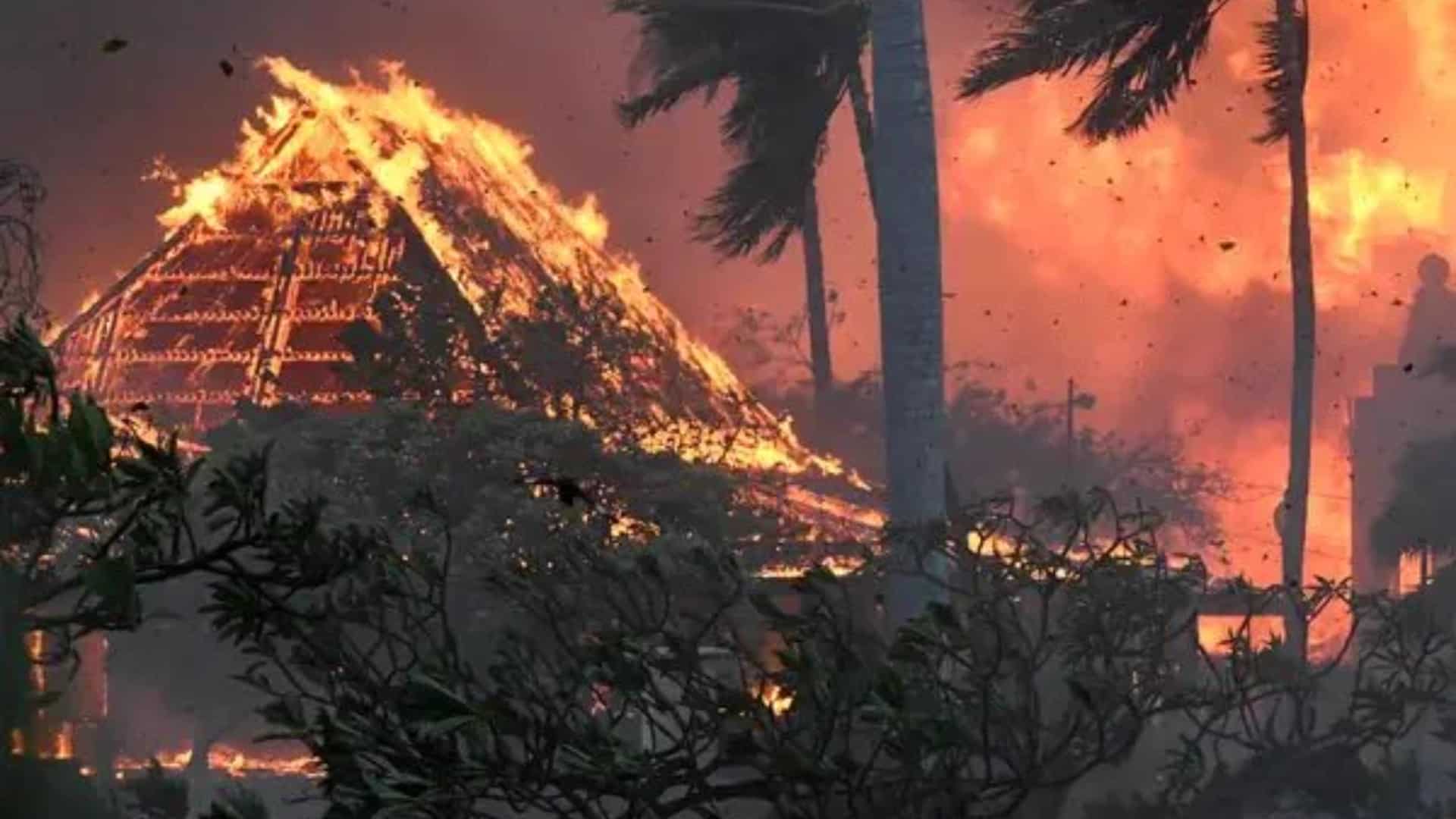 Maui: At least 36 killed in devastating wildfires on Hawaiian island