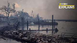 Explained | What's behind Maui wildfires? How has the situation gotten so worse?