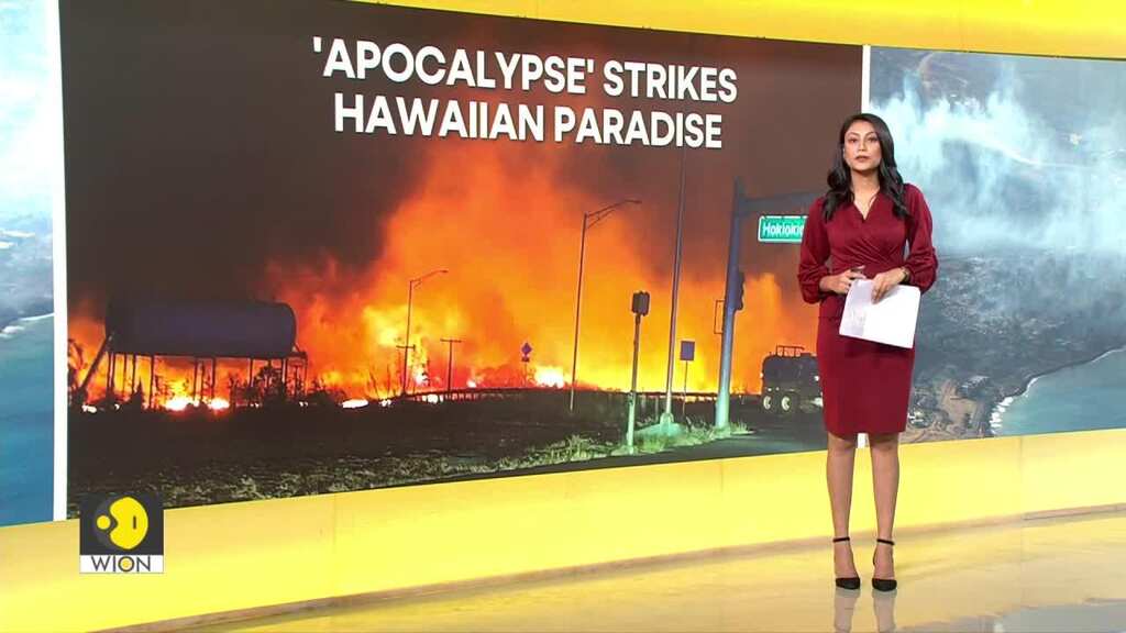 Hawaii Wildfires: Six deaths confirmed as blazes engulf Maui