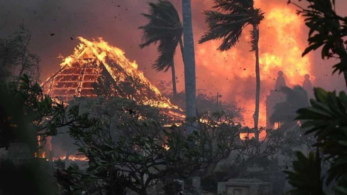 Maui wildfires: Largest banyan tree, 200-year-old church among landmarks charred Maui wildfires: Largest banyan tree, 200-year-old church among landmarks charred